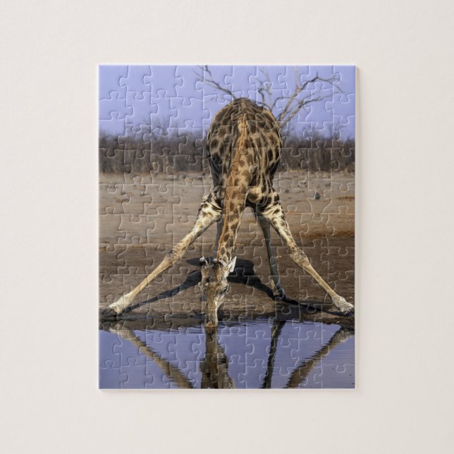 Africa, Botswana, Chobe National Park, Giraffe Jigsaw Puzzle (Vertical)