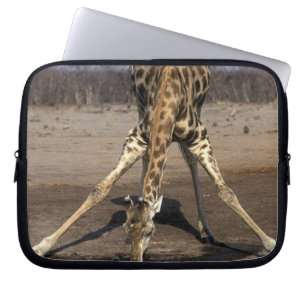 Africa, Botswana, Chobe National Park, Giraffe Laptop Sleeve