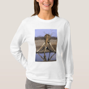 Africa, Botswana, Chobe National Park, Giraffe T-Shirt