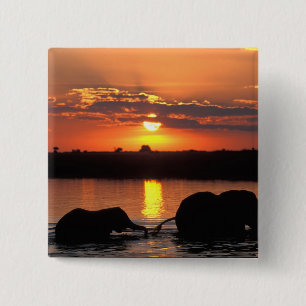 Africa, Botswana, Chobe National Park, Herd 15 Cm Square Badge