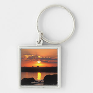 Africa, Botswana, Chobe National Park, Herd Key Ring