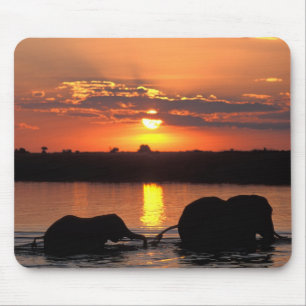 Africa, Botswana, Chobe National Park, Herd Mouse Pad
