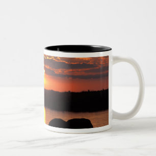 Africa, Botswana, Chobe National Park, Herd Two-Tone Coffee Mug