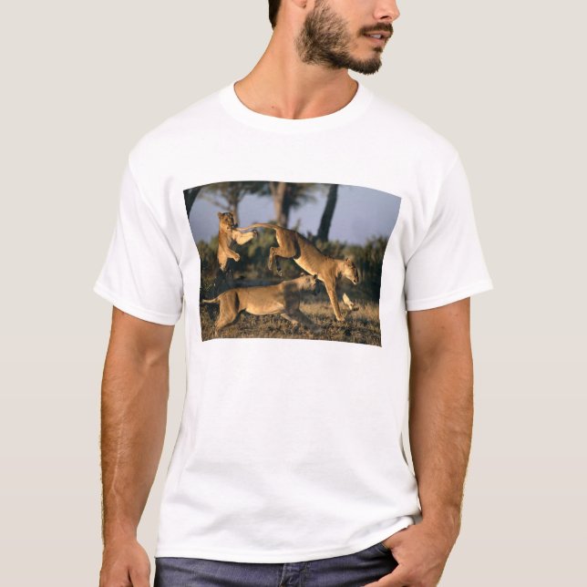 Africa, Botswana, Chobe National Park, Lionesses T-Shirt (Front)