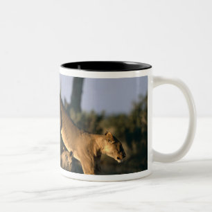 Africa, Botswana, Chobe National Park, Lionesses Two-Tone Coffee Mug