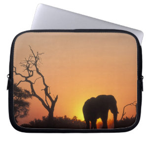 Africa, Botswana, Chobe National Park, Setting Laptop Sleeve