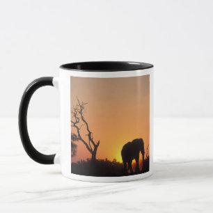 Africa, Botswana, Chobe National Park, Setting Mug