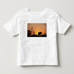 Africa, Botswana, Chobe National Park, Setting Toddler T-Shirt