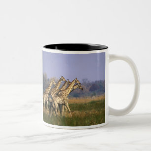 Africa, Botswana, Moremi Game Reserve Two-Tone Coffee Mug