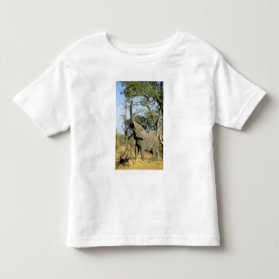 Africa, Botswana, Okavango Delta. African 2 Toddler T-Shirt