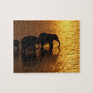 Africa, Botswana, Okavango Delta. African Jigsaw Puzzle