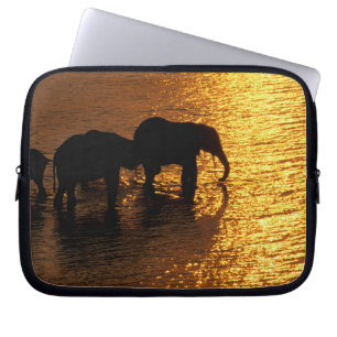 Africa, Botswana, Okavango Delta. African Laptop Sleeve