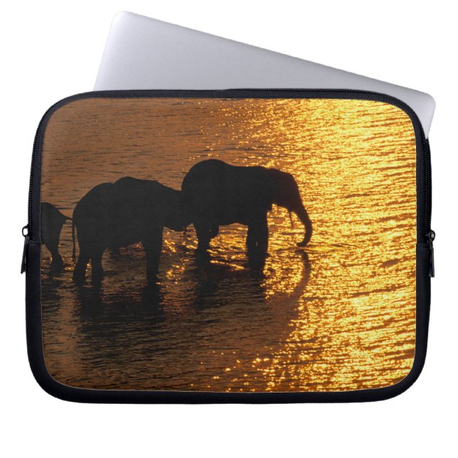 Africa, Botswana, Okavango Delta. African Laptop Sleeve (Front)