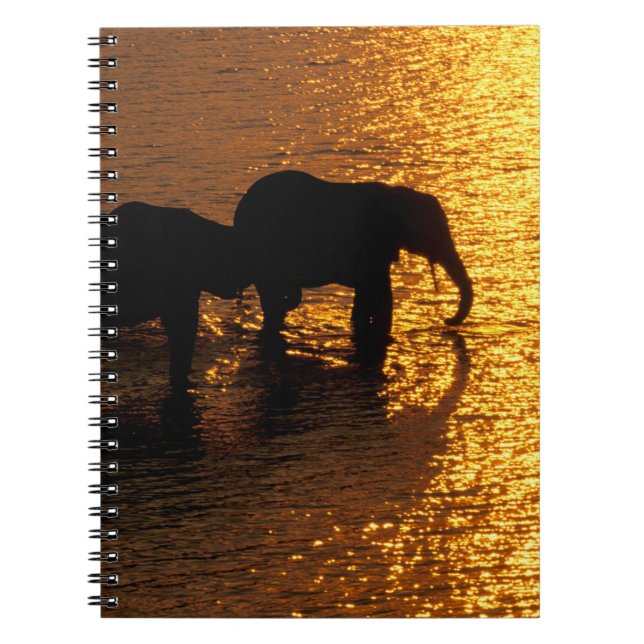 Africa, Botswana, Okavango Delta. African Notebook (Front)