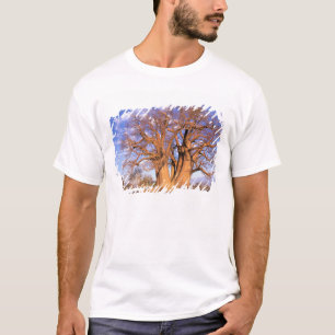 Africa, Botswana, Okavango Delta. Baobab T-Shirt