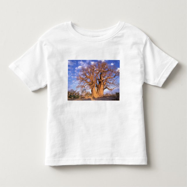 Africa, Botswana, Okavango Delta. Baobab Toddler T-Shirt (Front)