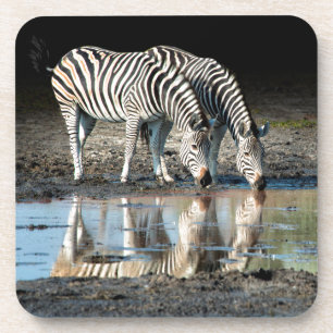 Africa,Botswana, Okavango Delta, Davison Camp Coaster