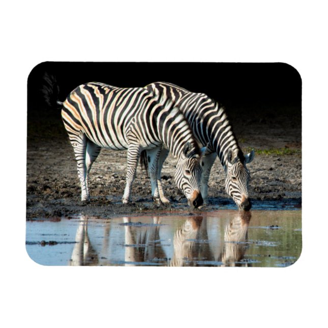 Africa,Botswana, Okavango Delta, Davison Camp Magnet (Horizontal)