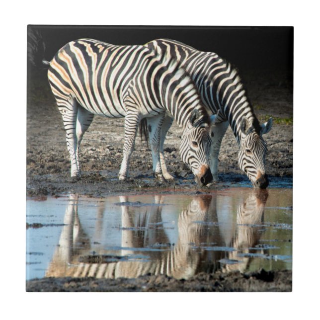 Africa,Botswana, Okavango Delta, Davison Camp Tile (Front)