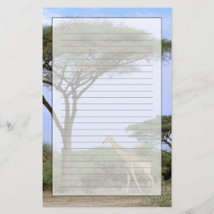 Africa, Botswana, Okavango Delta. Southern Stationery