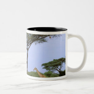 Africa, Botswana, Okavango Delta. Southern Two-Tone Coffee Mug