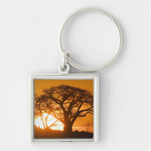 Africa, Botswana, Setting sun silhouettes Baobab Key Ring