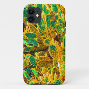 Africa Desert Cactus Plants Prickly Pear iPhone 11 Case