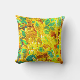 Africa Desert Cactus Plants Prickly Pear Cushion