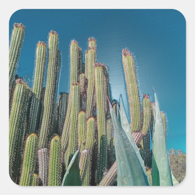 Africa Desert Cactus Plants Prickly Pear Square Sticker (Front)