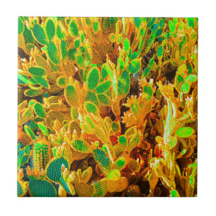Africa Desert Landscape Nature Cactus Plant Ceramic Tile
