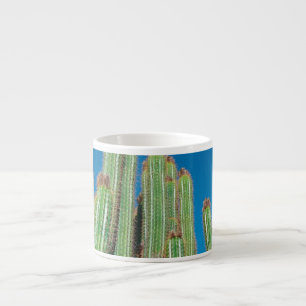 Africa Desert Landscape Nature Cactus Plants Espresso Cup