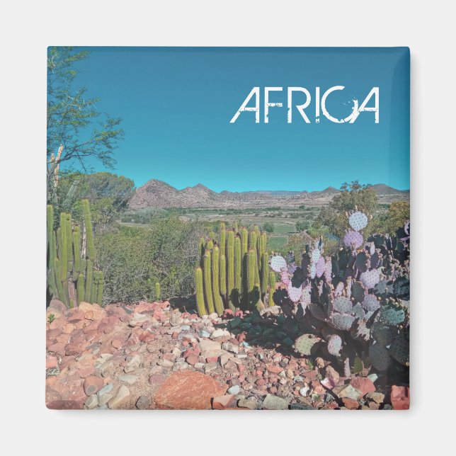 Africa Desert Landscape Nature Cactus Plants Magnet (Front)