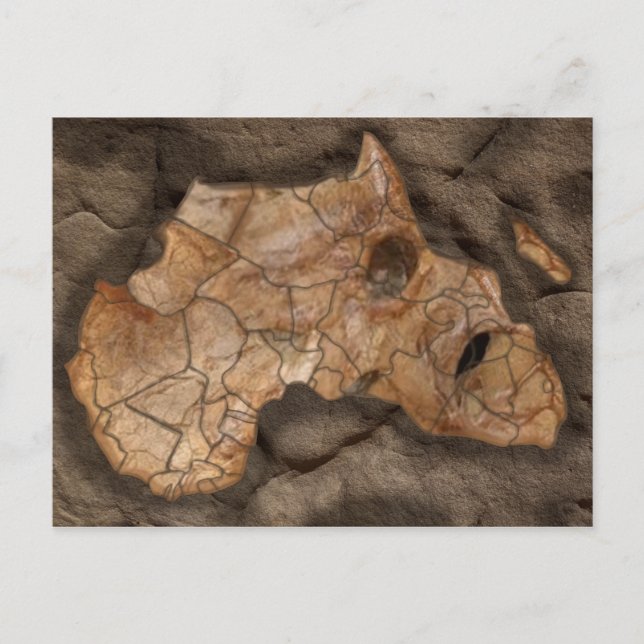 Africa dinosaur fossil postcard (Front)