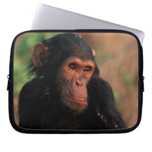 Africa, East Africa, Tanzania, Gombe National 4 Laptop Sleeve