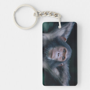 Africa, East Africa, Tanzania, Gombe National Key Ring