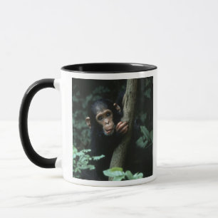 Africa, East Africa, Tanzania, Gombe National Mug