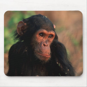 Africa, East Africa, Tanzania Mouse Pad