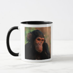 Africa, East Africa, Tanzania Mug