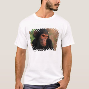 Africa, East Africa, Tanzania T-Shirt