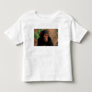Africa, East Africa, Tanzania Toddler T-Shirt