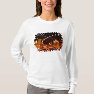 Africa, Egypt, Cairo, Muhammad Ali Mosque, The T-Shirt