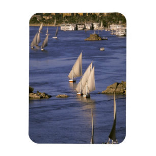 Africa, Egypt, Upper Egypt, Aswan. Feluccas Magnet