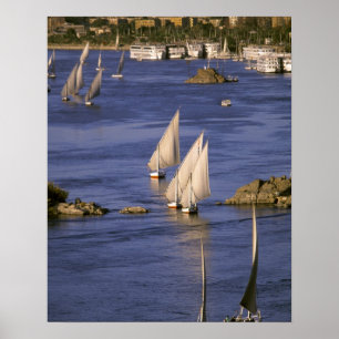 Africa, Egypt, Upper Egypt, Aswan. Feluccas Poster