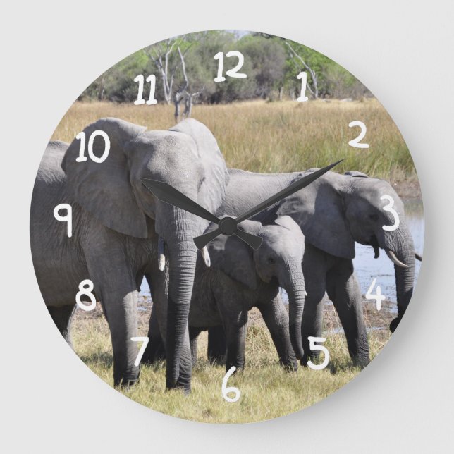 Africa Elephant Herds Large Clock (Front)