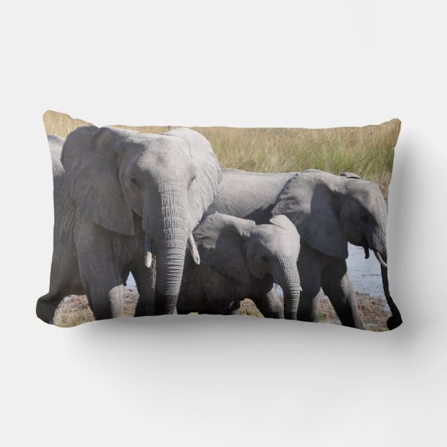Africa Elephant Herds Lumbar Cushion (Front)