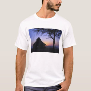 Africa, Ethiopia, Omo river region, Sunset over T-Shirt