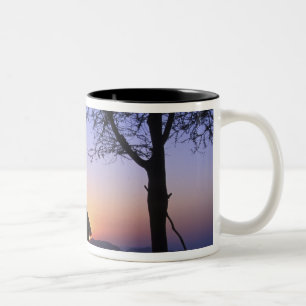 Africa, Ethiopia, Omo river region, Sunset over Two-Tone Coffee Mug