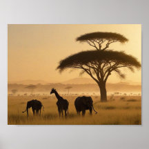 AFRICA IN THE MIST