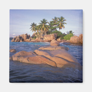 Africa, Indian Ocean, Seychelles, Praslin Magnet
