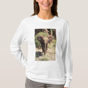 Africa, Kenya, Amboseli National Park. African 2 T-Shirt